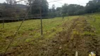 Foto 8 de Lote/Terreno à venda, 78000m² em Area Rural de Farroupilha, Farroupilha