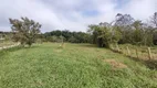 Foto 24 de Fazenda/Sítio com 2 Quartos à venda, 8500m² em Arraial dos Cunhas, Itajaí