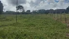 Foto 4 de Fazenda/Sítio com 3 Quartos à venda, 20000m² em Recanto das Emas, Brasília