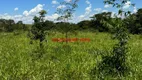 Foto 31 de Fazenda/Sítio com 3 Quartos à venda, 200m² em , Piracanjuba