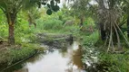 Foto 3 de Fazenda/Sítio com 3 Quartos à venda, 40000m² em Centro, 