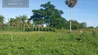 Foto 2 de Fazenda/Sítio com 3 Quartos à venda, 49000m² em Zona Rural, São Gonçalo do Amarante