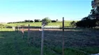 Foto 9 de Fazenda/Sítio com 2 Quartos à venda, 80m² em Zona Rural, São Vicente do Sul