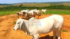 Foto 6 de Fazenda/Sítio com 2 Quartos à venda, 1530000m² em Zona Rural, Oliveira