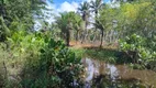 Foto 19 de Fazenda/Sítio à venda, 50000m² em Zona Rural, Barra de Santo Antônio