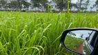 Foto 12 de Fazenda/Sítio com 2 Quartos à venda, 211m² em Zona Rural, Lagoa da Confusão