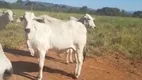 Foto 5 de Fazenda/Sítio à venda em Setor Central, Campinaçu