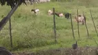 Foto 15 de Fazenda/Sítio com 3 Quartos à venda em , Dias D Ávila