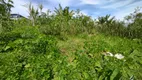 Foto 19 de Fazenda/Sítio com 2 Quartos à venda, 130m² em Zona Rural, São João do Itaperiú