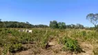 Foto 16 de Fazenda/Sítio com 2 Quartos à venda, 158m² em Zona Rural, Colinas do Sul