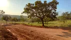 Foto 19 de Lote/Terreno à venda, 20000m² em Centro, São Gonçalo do Pará