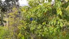 Foto 11 de Fazenda/Sítio com 2 Quartos à venda, 2000000m² em Zona Rural, Cocalzinho de Goiás