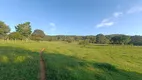 Foto 28 de Fazenda/Sítio com 3 Quartos à venda, 80m² em Zona Rural, Aragoiânia