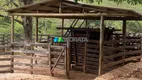 Foto 11 de Fazenda/Sítio com 1 Quarto à venda, 301m² em Zona Rural, Cruzília
