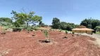 Foto 10 de Lote/Terreno à venda, 2853m² em Vila Oliveira, Rolândia