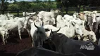 Foto 12 de Fazenda/Sítio com 2 Quartos à venda, 4500000m² em Zona Rural, Recursolândia