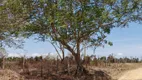 Foto 78 de Fazenda/Sítio à venda, 2900000m² em , Guaiúba