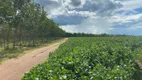 Foto 2 de Fazenda/Sítio com 1 Quarto à venda, 10m² em Zona Rural, Campo Alegre de Goiás