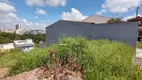 Foto 4 de Lote/Terreno à venda, 150m² em Laranjeiras, Caieiras