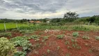 Foto 3 de Fazenda/Sítio com 1 Quarto à venda, 1000m² em Zona Rural, Londrina