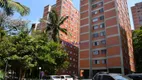 Foto 14 de Apartamento com 2 Quartos à venda, 46m² em Jardim Catanduva, São Paulo