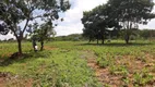 Foto 5 de Fazenda/Sítio à venda, 5000m² em Jardim Roriz, Brasília