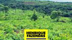 Foto 11 de Fazenda/Sítio com 2 Quartos à venda, 208000m² em Luzimangues, Porto Nacional