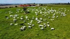 Foto 11 de Fazenda/Sítio com 3 Quartos à venda, 200m² em Area Rural de Sorocaba, Sorocaba