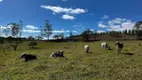 Foto 2 de Fazenda/Sítio à venda, 92000m² em Campo Grande, Pilar do Sul