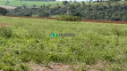 Foto 20 de Fazenda/Sítio com 3 Quartos à venda, 282m² em Zona Rural, Luz