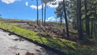 Foto 7 de Lote/Terreno à venda, 558m² em , Gramado