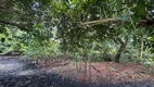 Foto 23 de Fazenda/Sítio à venda, 15000m² em Zona Rural, Ceará Mirim