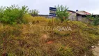 Foto 8 de Lote/Terreno à venda, 252m² em Arlindo Villaschi, Viana