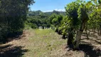 Foto 42 de Lote/Terreno à venda, 59000m² em Vale dos Vinhedos, Bento Gonçalves