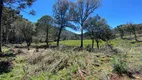 Foto 13 de Lote/Terreno à venda em Zona Rural, Urubici