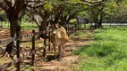 Foto 3 de Fazenda/Sítio à venda, 84600m² em , Boa Esperança do Sul