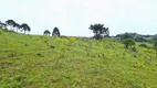 Foto 9 de Fazenda/Sítio à venda, 150000m² em Centro, São Joaquim