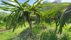 Foto 31 de Fazenda/Sítio com 3 Quartos à venda, 800m² em Chácara Esperia, Piracicaba