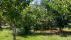Foto 3 de Fazenda/Sítio com 2 Quartos à venda, 200m² em DICAL, Luziânia
