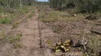 Foto 2 de Fazenda/Sítio à venda, 10000000m² em Calhau, São Luís