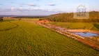 Foto 4 de Fazenda/Sítio à venda, 188000000m² em Zona Rural, Goiatins