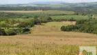 Foto 6 de Fazenda/Sítio com 2 Quartos à venda, 145200000m² em Centro, Cesário Lange