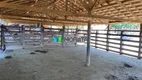 Foto 19 de Fazenda/Sítio com 1 Quarto à venda, 236m² em Zona Rural, Martinho Campos