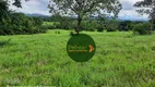 Foto 14 de Fazenda/Sítio à venda, 3630000m² em Zona Rural, Porangatu