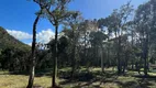 Foto 5 de Lote/Terreno à venda, 20000m² em Morro Campestre, Urubici