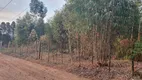 Foto 7 de Lote/Terreno à venda, 5000m² em CHACARAS CAMARGO II, São Pedro