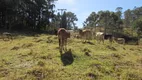 Foto 36 de Fazenda/Sítio à venda, 30000m² em Centro, Extrema