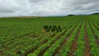 Foto 8 de Fazenda/Sítio à venda, 18972800m² em Centro, Niquelândia