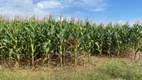 Foto 2 de Fazenda/Sítio com 2 Quartos à venda, 16000000m² em Nova Uberlandia, Uberlândia