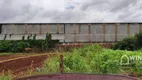 Foto 4 de Lote/Terreno à venda, 30000m² em Parque Industrial, Sarandi